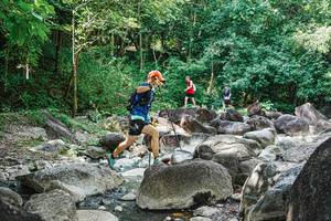 BIB: 
                            <button type="button" onclick="openModal(25112695)" class="btn btn-primary btn-sm float-right btn-popup" data-toggle="modal" data-target=".modal-high-quality">
                        <i class="fas fa-shopping-cart"></i> Add to Cart
                    </button>
                                            <button type="button" onclick="isThisMe(25112695, true)" class="btn btn-success btn-sm float-right btn-popup btn-isme hidden" data-toggle="tooltip" data-placement="bottom" title="นี่คือรูปของคุณใช่ไหม คลิกที่นี่เพื่อเอาเข้าอัลบั้ม">
                        <i class="fas fa-plus"></i> Add to album
                    </button>
                    <button type="button" onclick="isThisMe(25112695, false)" class="btn btn-warning btn-sm float-right btn-popup btn-isnotme hidden">
                        <i class="fas fa-ban"></i> Remove from album
                    </button>